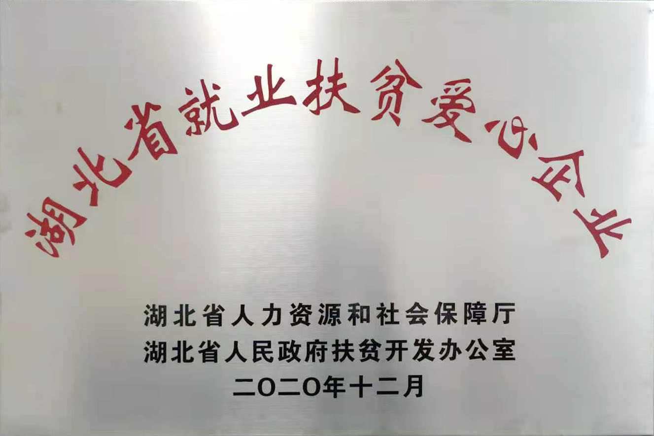 湖北省就業(yè)扶貧愛心企業(yè)2020